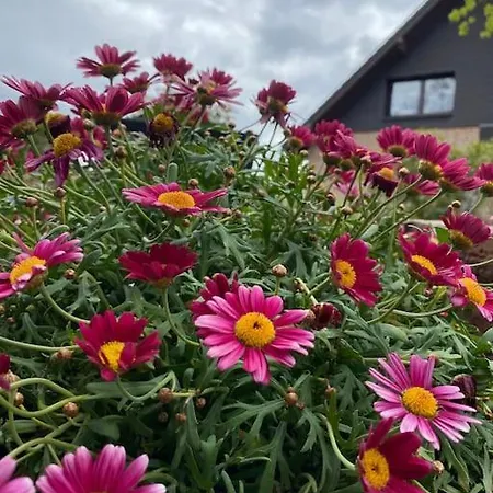 Hohes Venn Monschau
