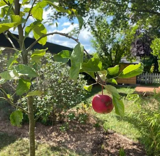 Hohes Venn * Monschau